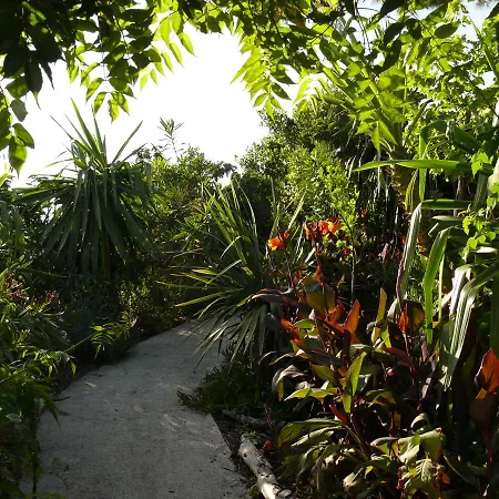 La Coccinelle 4* Île du Levant