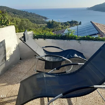 La Coccinelle