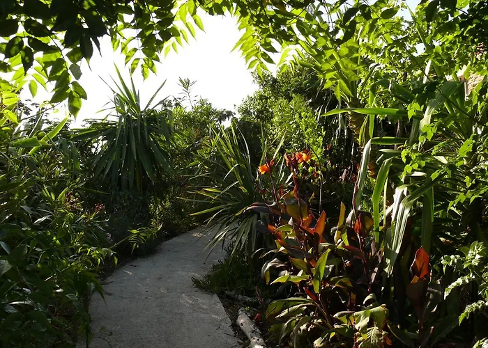 La Coccinelle 4* Ile du Levant